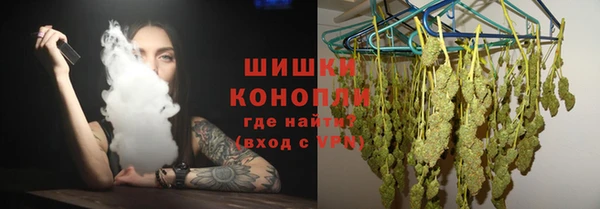 дмт Богородицк