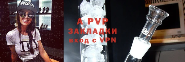 эйфоретик Богданович