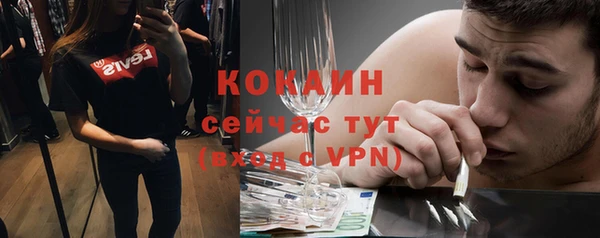 дмт Богородицк