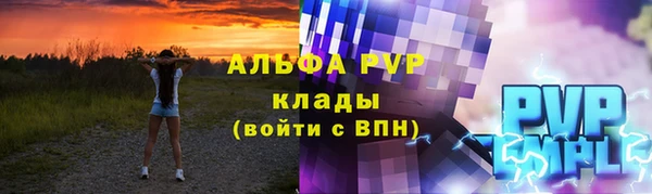эйфоретик Богданович