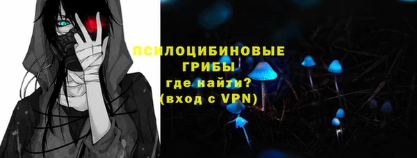 дмт Богородицк